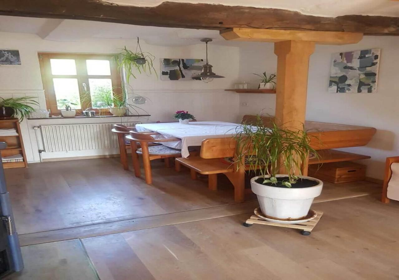 Aeltestes Haus In Quentel - Ferienwohnung 1 Mit Kleinem Garten Lichtenau 외부 사진