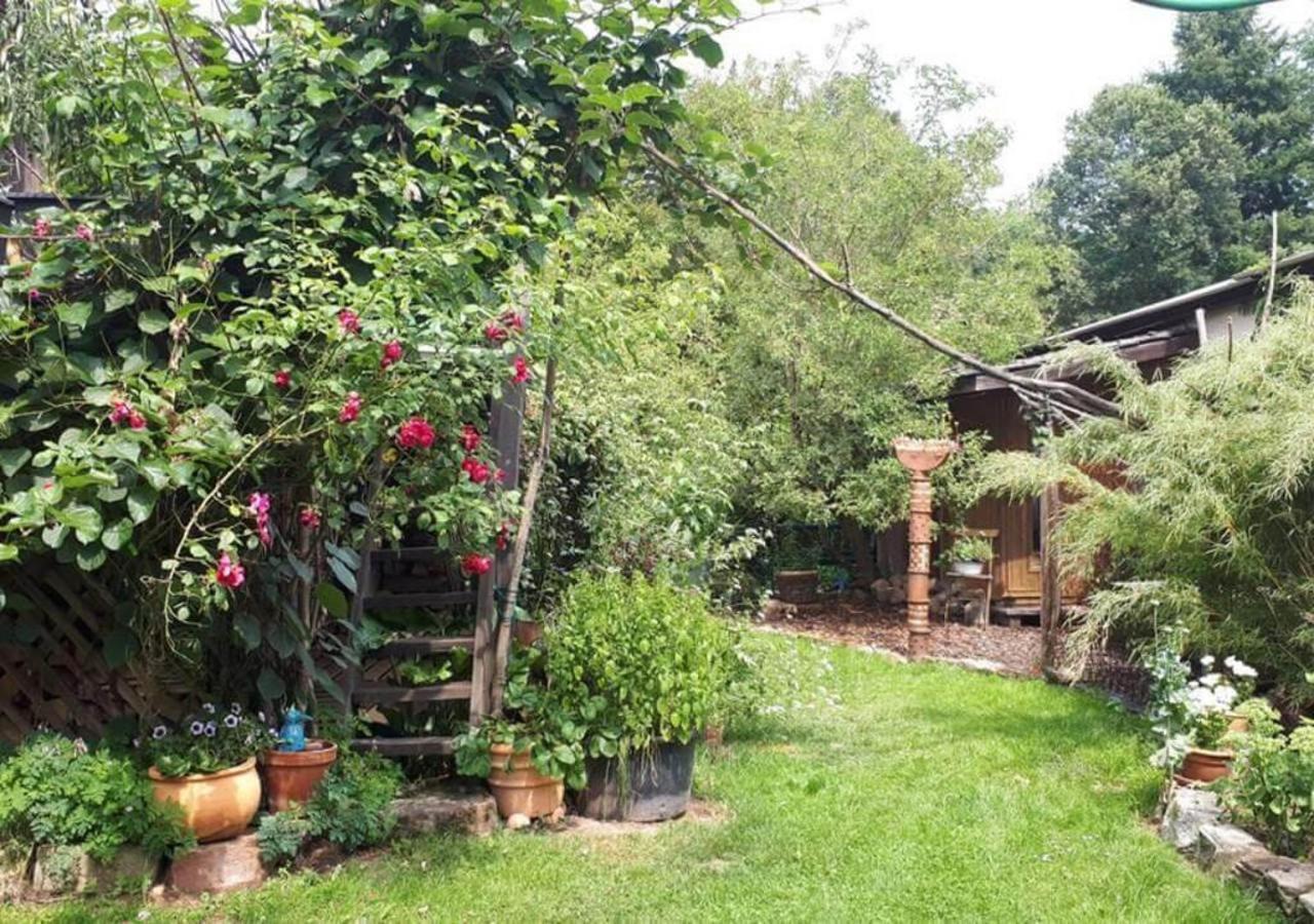 Aeltestes Haus In Quentel - Ferienwohnung 1 Mit Kleinem Garten Lichtenau 외부 사진
